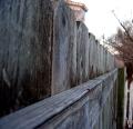 boomerfence_dof