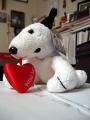 valentine_dog