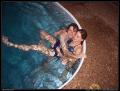 brandon_and_sarah_pool