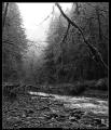 creek_by_marymere_portrait_bw