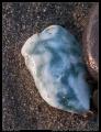 turquoise_white_rock