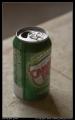 canada_dry_2