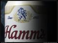 hamm's