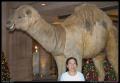 mom_and_talking_camel