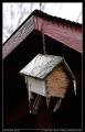 birdhouse_2