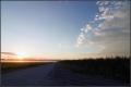 gravel_road_cornfield