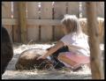 IMGP1221_girl_in_petting_zoo