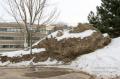 _IGP3832-parking-lot-snow