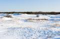 _IGP3854-wintry-field