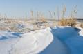 _IGP3864-snow-and-grass