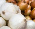 _IGP4019-onions