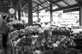 _IGP4021-bw-market