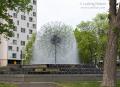 _IGP5041-dandelion-fountain