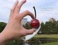 _IGP5079-me-grabbing-cherry