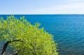 _IGP5271-lake-superior-with-tree