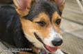 _IGP5780-lady-closeup-on-deck