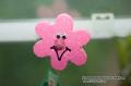 _IGP5823-pink-flower